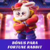 Bônus Fortune Rabbit